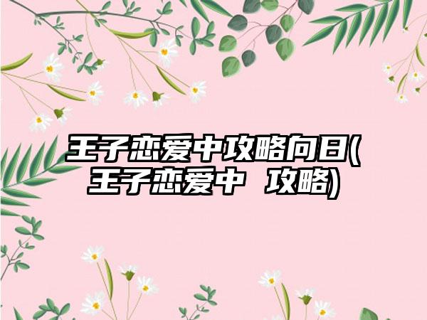 王子恋爱中攻略向日(王子恋爱中 攻略)