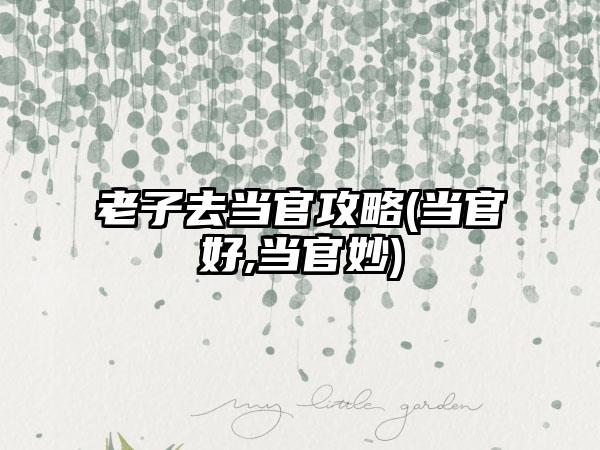 老子去当官攻略(当官好,当官妙)