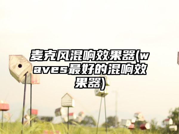 麦克风混响效果器(waves最好的混响效果器)