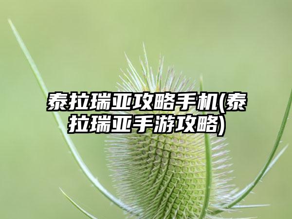 泰拉瑞亚攻略手机(泰拉瑞亚手游攻略)