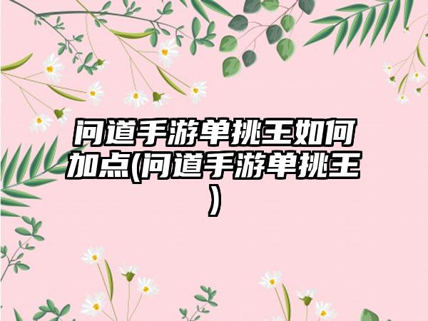 问道手游单挑王如何加点(问道手游单挑王)