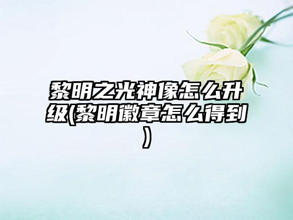 黎明之光神像怎么升级(黎明徽章怎么得到)