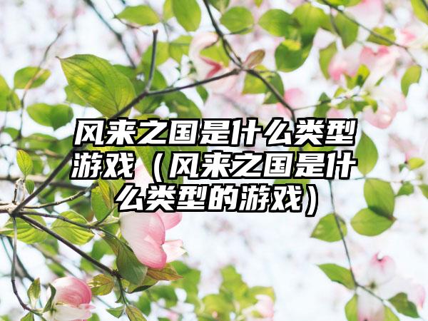风来之国是什么类型游戏（风来之国是什么类型的游戏）
