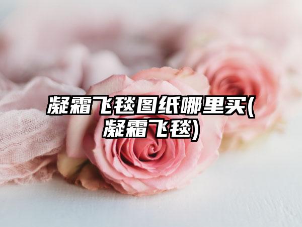 凝霜飞毯图纸哪里买(凝霜飞毯)