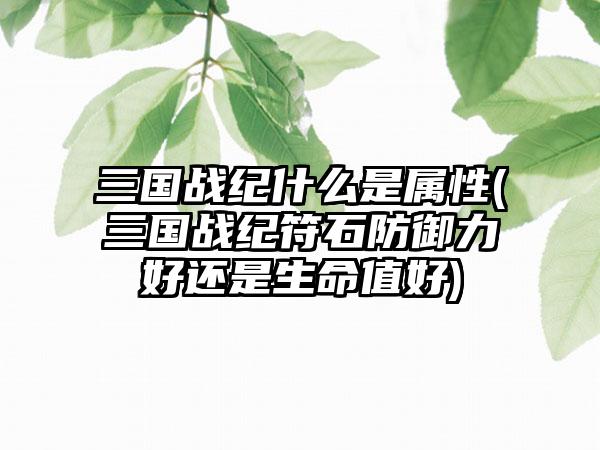 三国战纪什么是属性(三国战纪符石防御力好还是生命值好)
