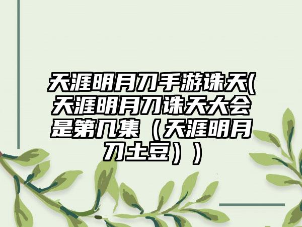 天涯明月刀手游诛天(天涯明月刀诛天大会是第几集（天涯明月刀土豆）)
