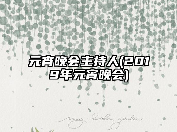 元宵晚会主持人(2019年元宵晚会)