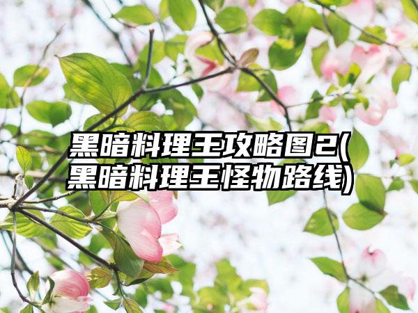 黑暗料理王攻略图2(黑暗料理王怪物路线)