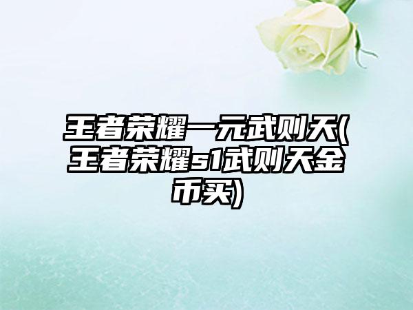 王者荣耀一元武则天(王者荣耀s1武则天金币买)