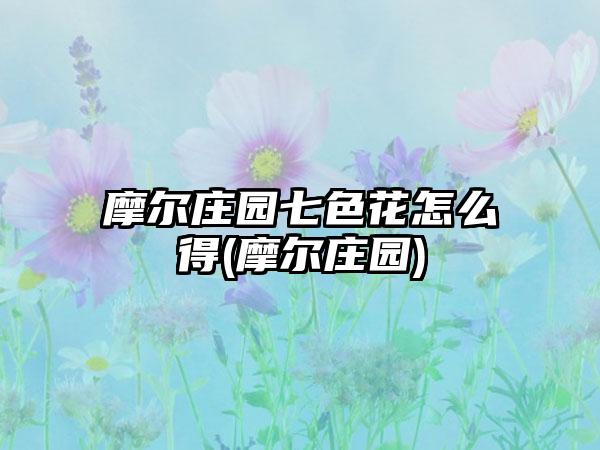 摩尔庄园七色花怎么得(摩尔庄园)