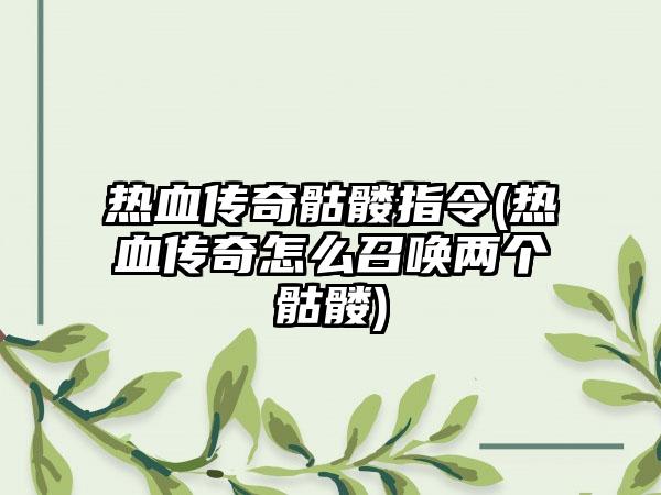 热血传奇骷髅指令(热血传奇怎么召唤两个骷髅)