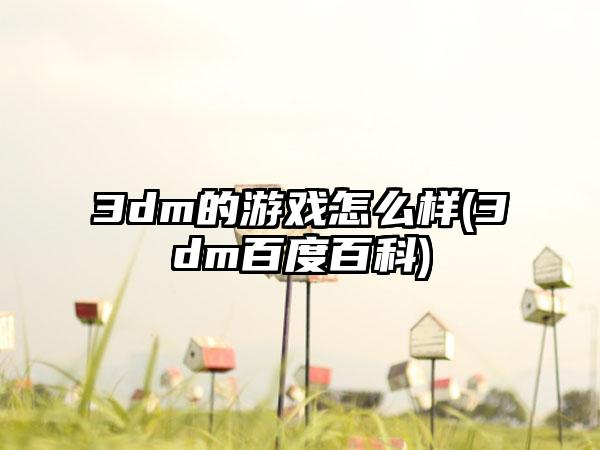 3dm的游戏怎么样(3dm百度百科)
