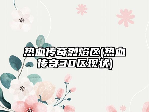 热血传奇烈焰区(热血传奇30区现状)