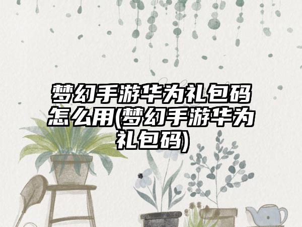 梦幻手游华为礼包码怎么用(梦幻手游华为礼包码)