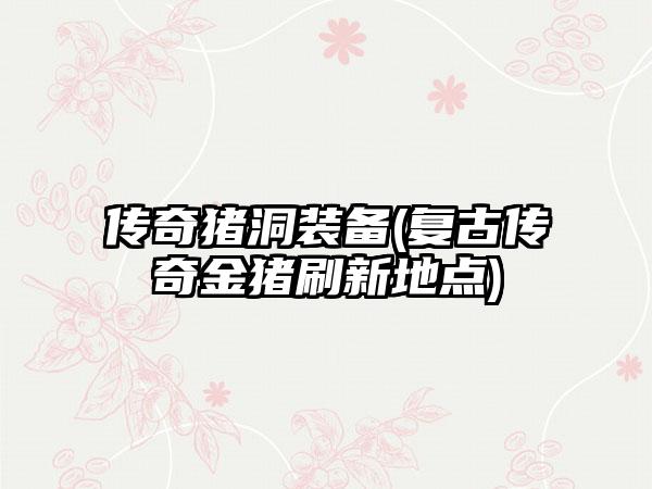 传奇猪洞装备(复古传奇金猪刷新地点)