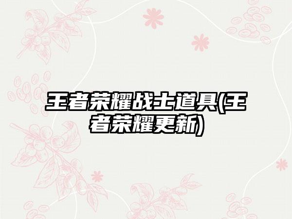 王者荣耀战士道具(王者荣耀更新)