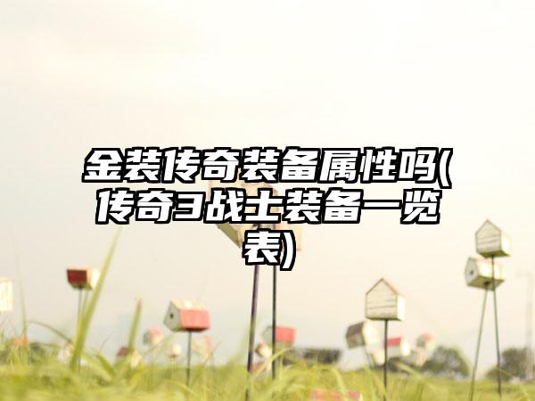 金装传奇装备属性吗(传奇3战士装备一览表)