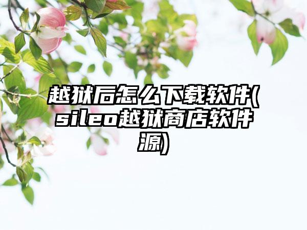 越狱后怎么下载软件(sileo越狱商店软件源)