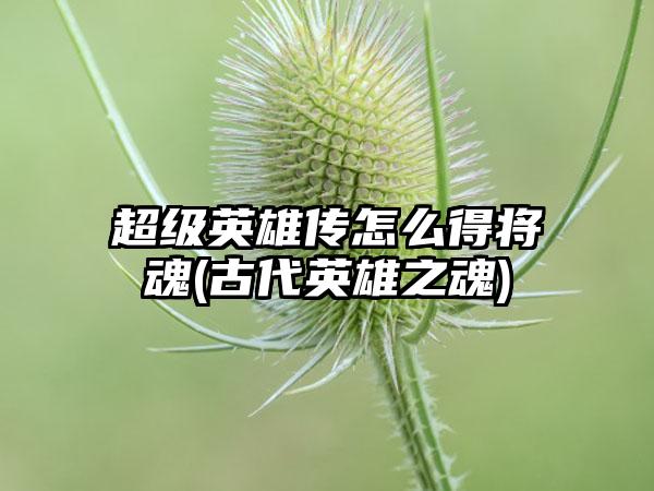 超级英雄传怎么得将魂(古代英雄之魂)