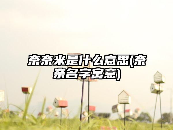 奈奈米是什么意思(奈奈名字寓意)