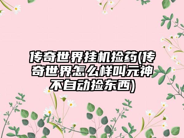 传奇世界挂机捡药(传奇世界怎么样叫元神不自动捡东西)