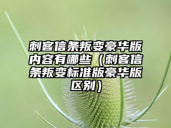 刺客信条叛变豪华版内容有哪些（刺客信条叛变标准版豪华版区别）