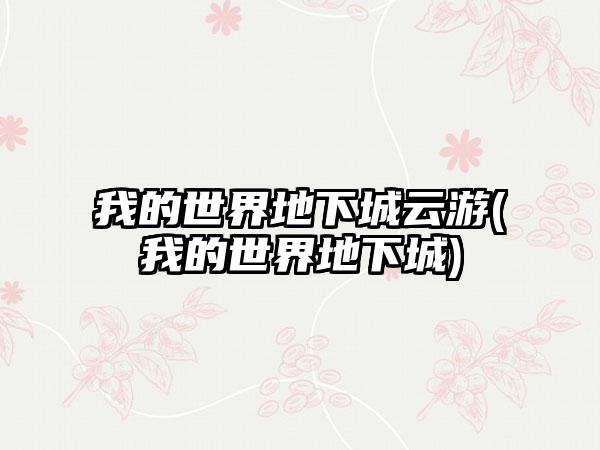 我的世界地下城云游(我的世界地下城)