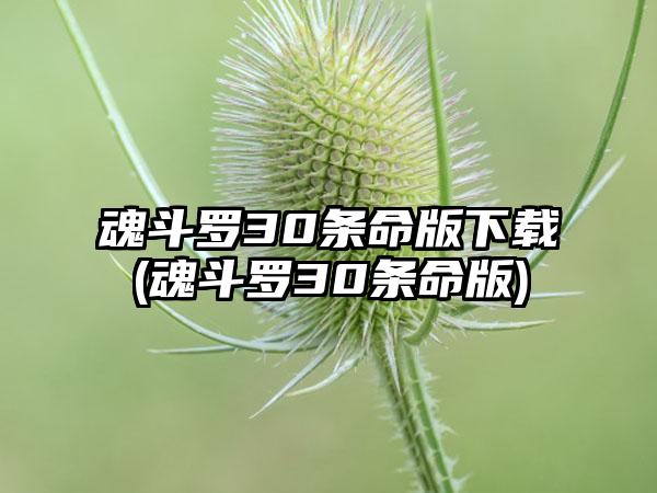魂斗罗30条命版下载(魂斗罗30条命版)