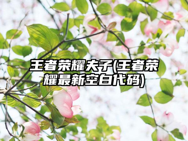 王者荣耀夫子(王者荣耀最新空白代码)