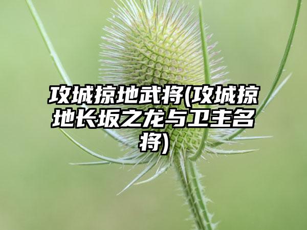 攻城掠地武将(攻城掠地长坂之龙与卫主名将)