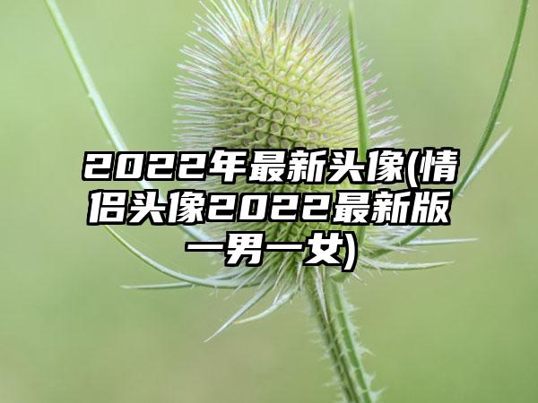2022年最新头像(情侣头像2022最新版一男一女)