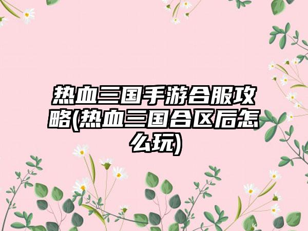 热血三国手游合服攻略(热血三国合区后怎么玩)