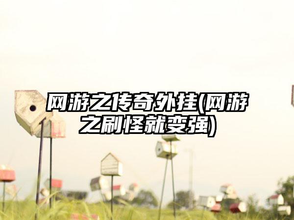 网游之传奇外挂(网游之刷怪就变强)