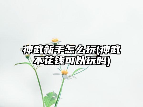 神武新手怎么玩(神武不花钱可以玩吗)