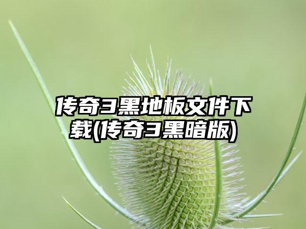 传奇3黑地板文件下载(传奇3黑暗版)