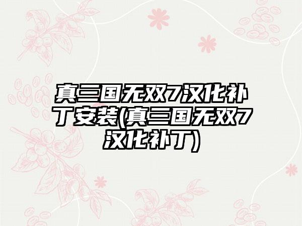 真三国无双7汉化补丁安装(真三国无双7汉化补丁)