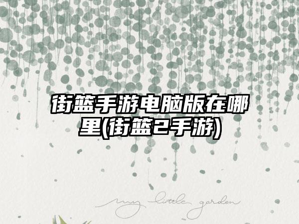 街篮手游电脑版在哪里(街篮2手游)