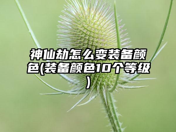 神仙劫怎么变装备颜色(装备颜色10个等级)