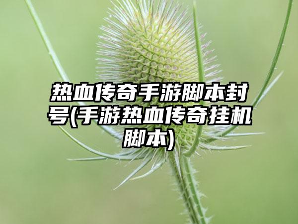 热血传奇手游脚本封号(手游热血传奇挂机脚本)