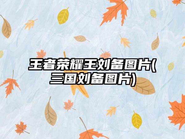 王者荣耀王刘备图片(三国刘备图片)