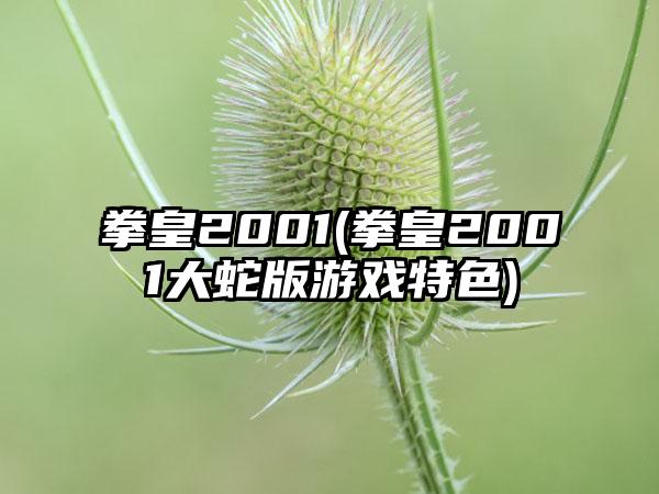 拳皇2001(拳皇2001大蛇版游戏特色)