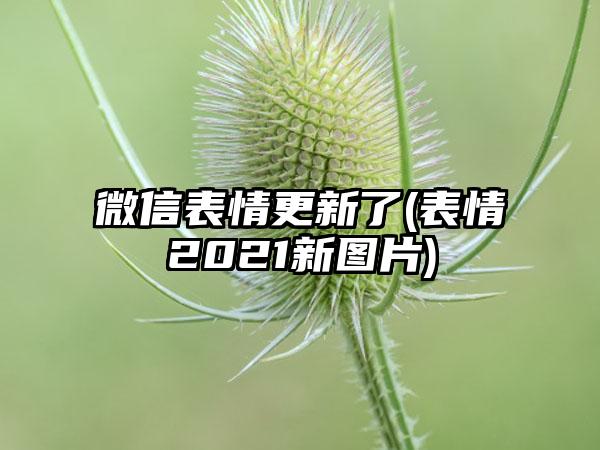 微信表情更新了(表情2021新图片)