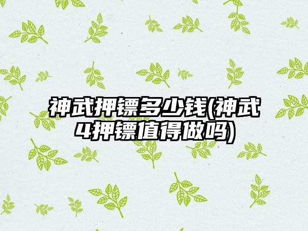 神武押镖多少钱(神武4押镖值得做吗)