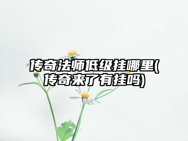 传奇法师低级挂哪里(传奇来了有挂吗)