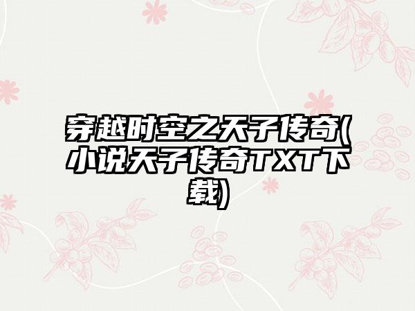 穿越时空之天子传奇(小说天子传奇TXT下载)