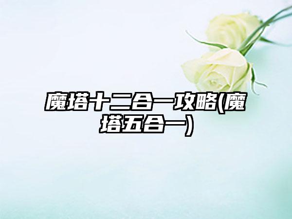 魔塔十二合一攻略(魔塔五合一)