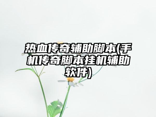 热血传奇辅助脚本(手机传奇脚本挂机辅助软件)