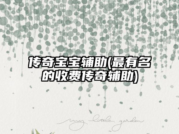 传奇宝宝辅助(最有名的收费传奇辅助)