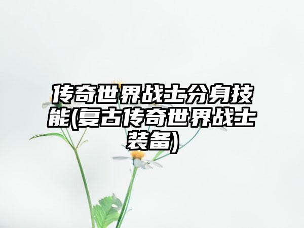 传奇世界战士分身技能(复古传奇世界战士装备)