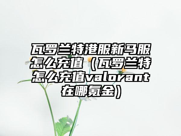 瓦罗兰特港服新马服怎么充值（瓦罗兰特怎么充值valorant在哪氪金）